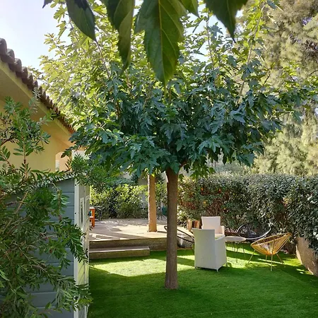 Les Jardins D'alzetu Lägenhet Porto-Vecchio (Corsica)